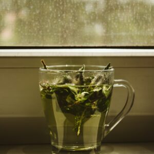 green leaf in clear glass mug